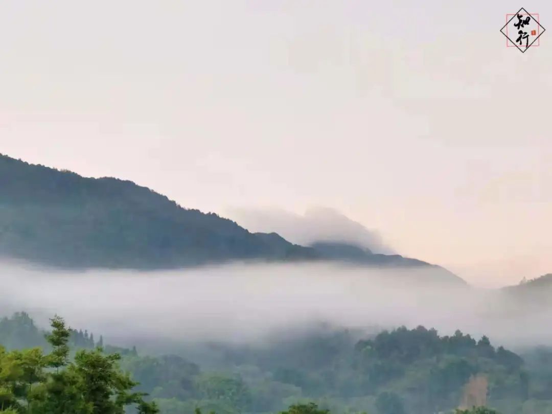 微信圖片_20210824183346.jpg 圖片