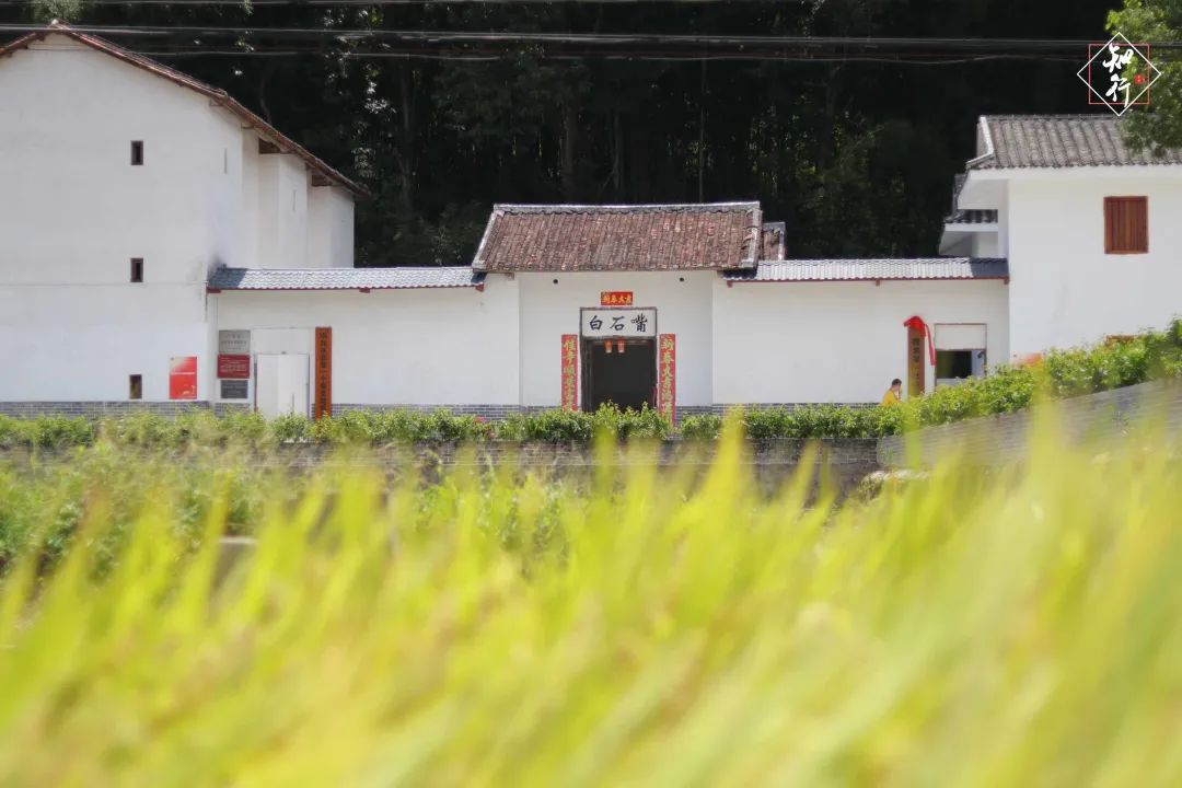 微信圖片_20210824184311.jpg 圖片