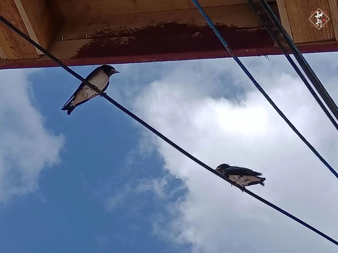 微信圖片_20210824184307.jpg 圖片